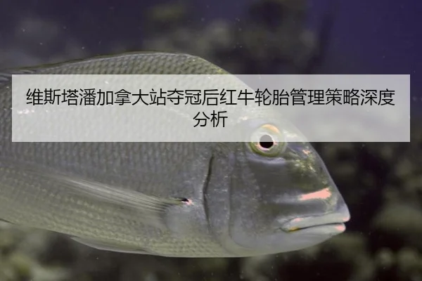 维斯塔潘加拿大站夺冠后红牛轮胎管理策略深度分析